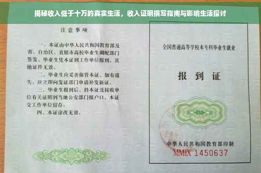 揭秘收入低于十万的真实生活，收入证明撰写指南与影响生活探讨