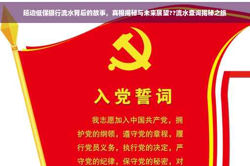 延边低保银行流水背后的故事，真相揭秘与未来展望??流水查询揭秘之旅