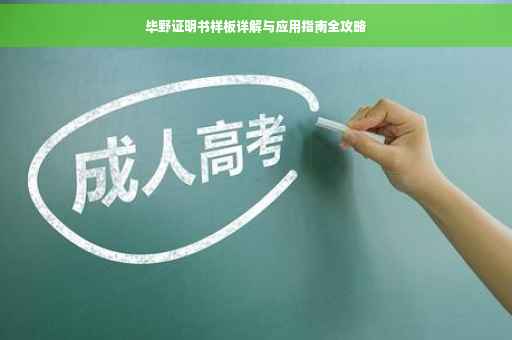 毕野证明书样板详解与应用指南全攻略