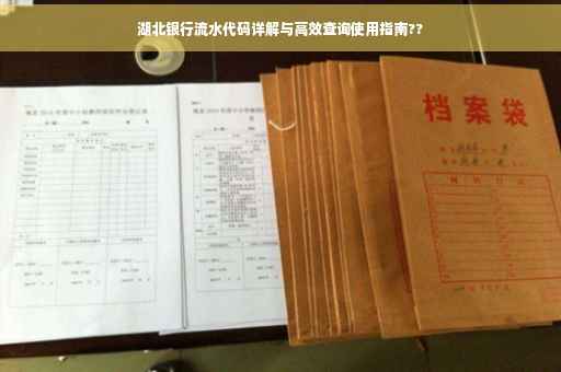 湖北银行流水代码详解与高效查询使用指南??