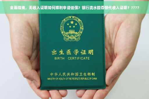 全面指南，无收入证明如何顺利申请低保？银行流水能否替代收入证明？????
