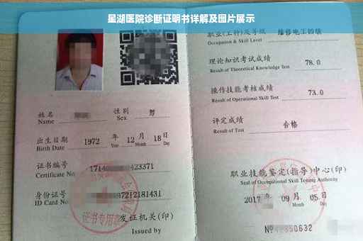星湖医院诊断证明书详解及图片展示