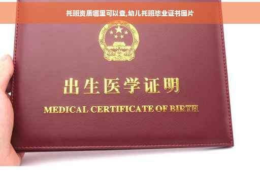 托班资质哪里可以查,幼儿托班毕业证书图片