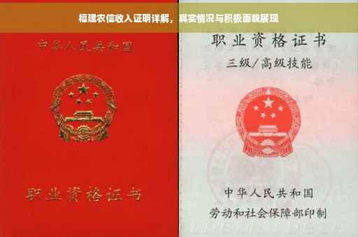 福建农信收入证明详解，真实情况与积极面貌展现