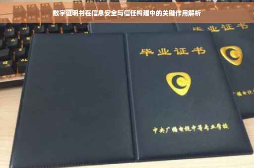 数字证明书在信息安全与信任构建中的关键作用解析