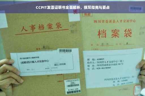 CCPIT发票证明书全面解析,撰写指南与要点 CCPIT发票证明书全面解析,撰写指南与要点