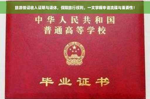 旅游签证收入证明与退休，保障旅行权利，一文掌握申请流程与重要性！