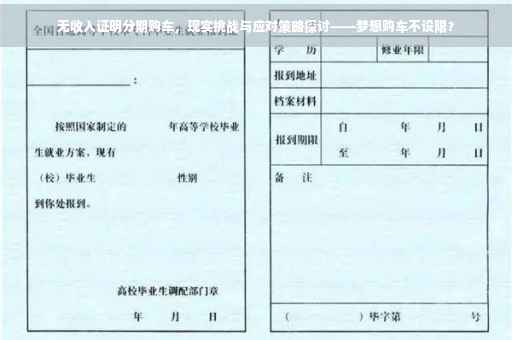 无收入证明分期购车，现实挑战与应对策略探讨——梦想购车不设限？