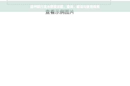 德州银行流水明细详解，查询、解读与使用指南