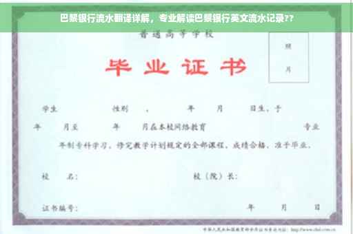 巴黎银行流水翻译详解，专业解读巴黎银行英文流水记录??