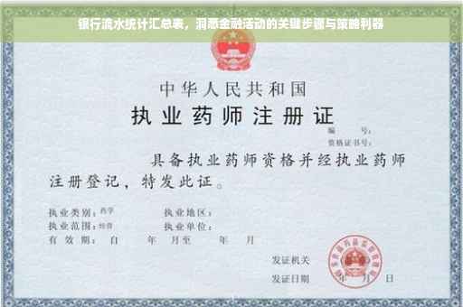 银行流水统计汇总表，洞悉金融活动的关键步骤与策略利器