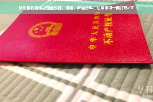 沭阳银行流水办理全攻略，流程、所需材料、注意事项一网打尽?⚡️