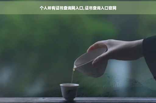 个人所有证书查询网入口,证书查询入口官网