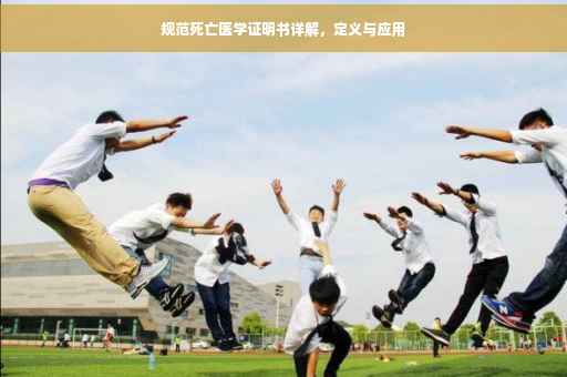 规范死亡医学证明书详解，定义与应用