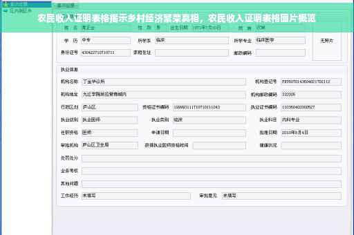农民收入证明表格揭示乡村经济繁荣真相，农民收入证明表格图片概览