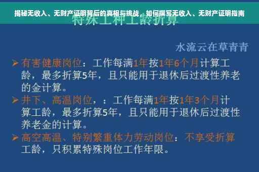 揭秘无收入、无财产证明背后的真相与挑战，如何撰写无收入、无财产证明指南