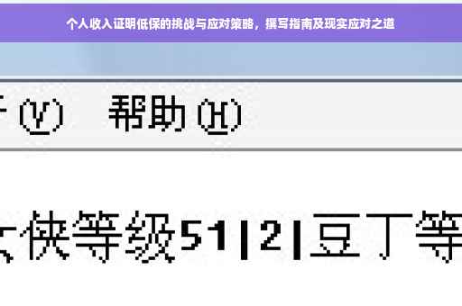 个人收入证明低保的挑战与应对策略，撰写指南及现实应对之道