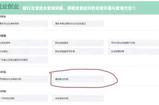 银行企业流水查询详解，掌握资金状况的关键步骤与查询方法?✨