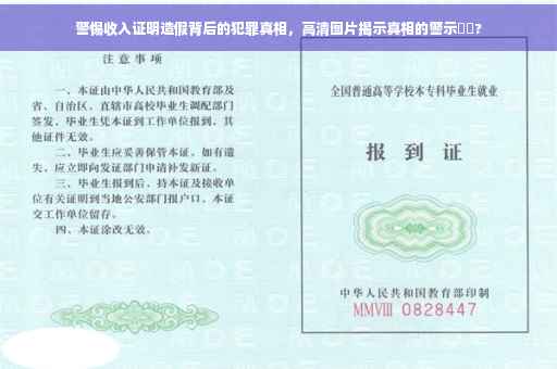 警惕收入证明造假背后的犯罪真相，高清图片揭示真相的警示⚡️?