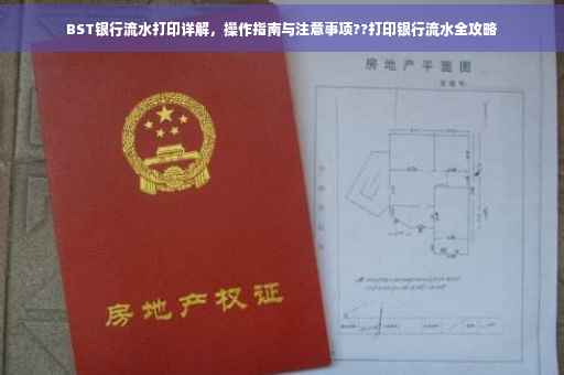 BST银行流水打印详解，操作指南与注意事项??打印银行流水全攻略