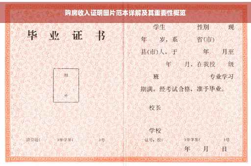 购房收入证明图片范本详解及其重要性概览