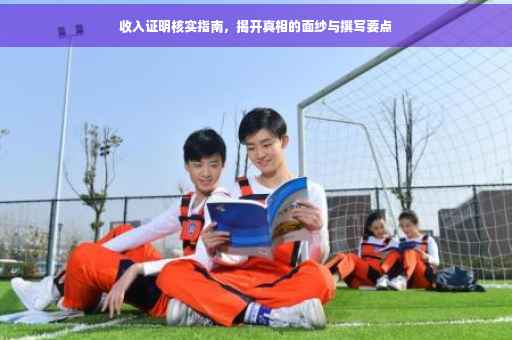收入证明核实指南，揭开真相的面纱与撰写要点