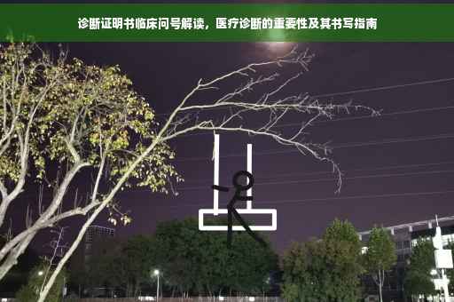 诊断证明书临床问号解读，医疗诊断的重要性及其书写指南