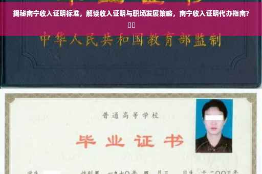 揭秘南宁收入证明标准，解读收入证明与职场发展策略，南宁收入证明代办指南?⚡️
