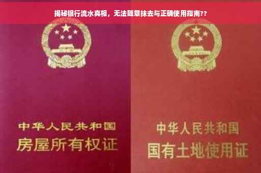 揭秘银行流水真相，无法随意抹去与正确使用指南??