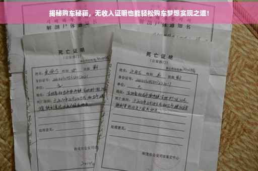 揭秘购车秘籍，无收入证明也能轻松购车梦想实现之道！