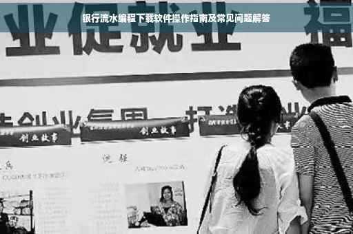 银行流水编程下载软件操作指南及常见问题解答
