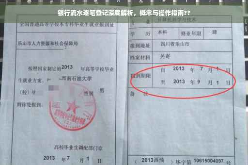 银行流水逐笔登记深度解析，概念与操作指南??