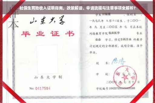 社保生育险收入证明指南，政策解读、申请流程与注意事项全解析?