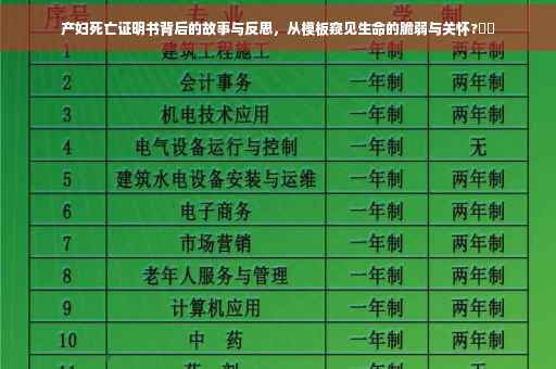 产妇死亡证明书背后的故事与反思，从模板窥见生命的脆弱与关怀?⚡️