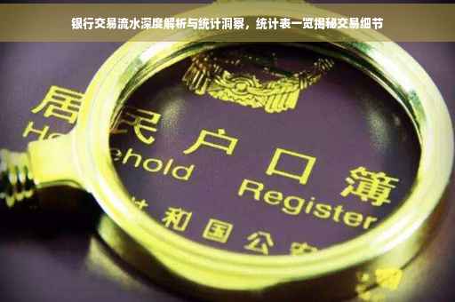 银行交易流水深度解析与统计洞察，统计表一览揭秘交易细节