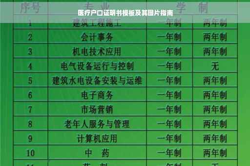 医疗户口证明书模板及其图片指南