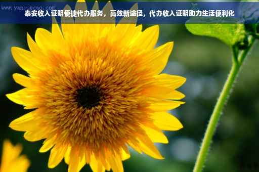 泰安收入证明便捷代办服务，高效新途径，代办收入证明助力生活便利化