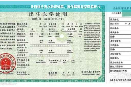 天府银行流水验证详解，操作指南与深度解析??