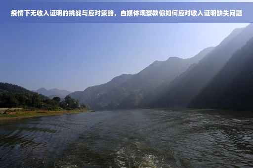 疫情下无收入证明的挑战与应对策略，自媒体观察教你如何应对收入证明缺失问题