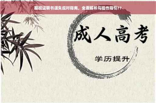 期权证明书遗失应对指南，全面解析与操作指引??