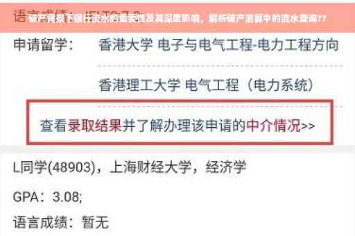 破产背景下银行流水的重要性及其深度影响，解析破产清算中的流水查询??