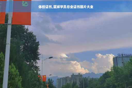 体校证书,篮球学员毕业证书图片大全