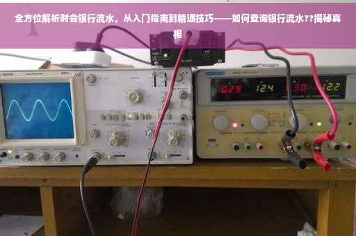 全方位解析财会银行流水，从入门指南到精通技巧——如何查询银行流水??揭秘真相