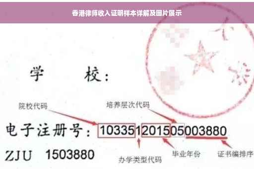 香港律师收入证明样本详解及图片展示