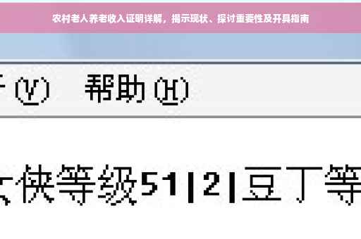 农村老人养老收入证明详解，揭示现状、探讨重要性及开具指南