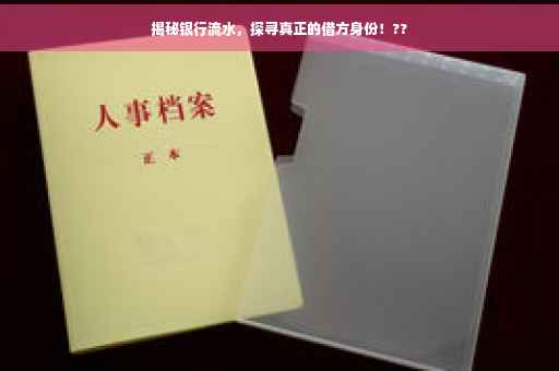 揭秘银行流水，探寻真正的借方身份！??