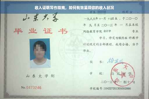 收入证明写作指南，如何有效呈现你的收入状况