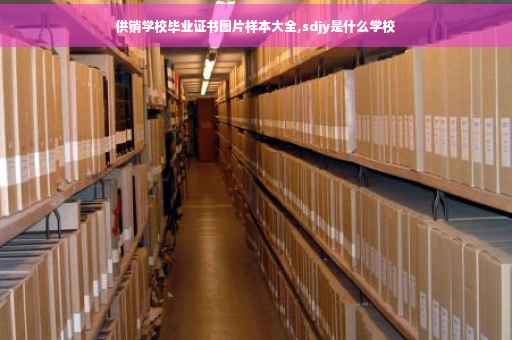 供销学校毕业证书图片样本大全,sdjy是什么学校