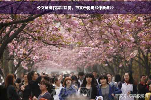 公文证明书撰写指南，范文示例与写作要点??
