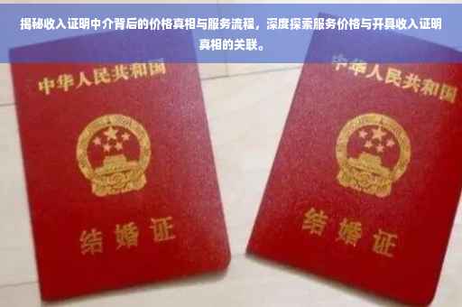 揭秘收入证明中介背后的价格真相与服务流程，深度探索服务价格与开具收入证明真相的关联。